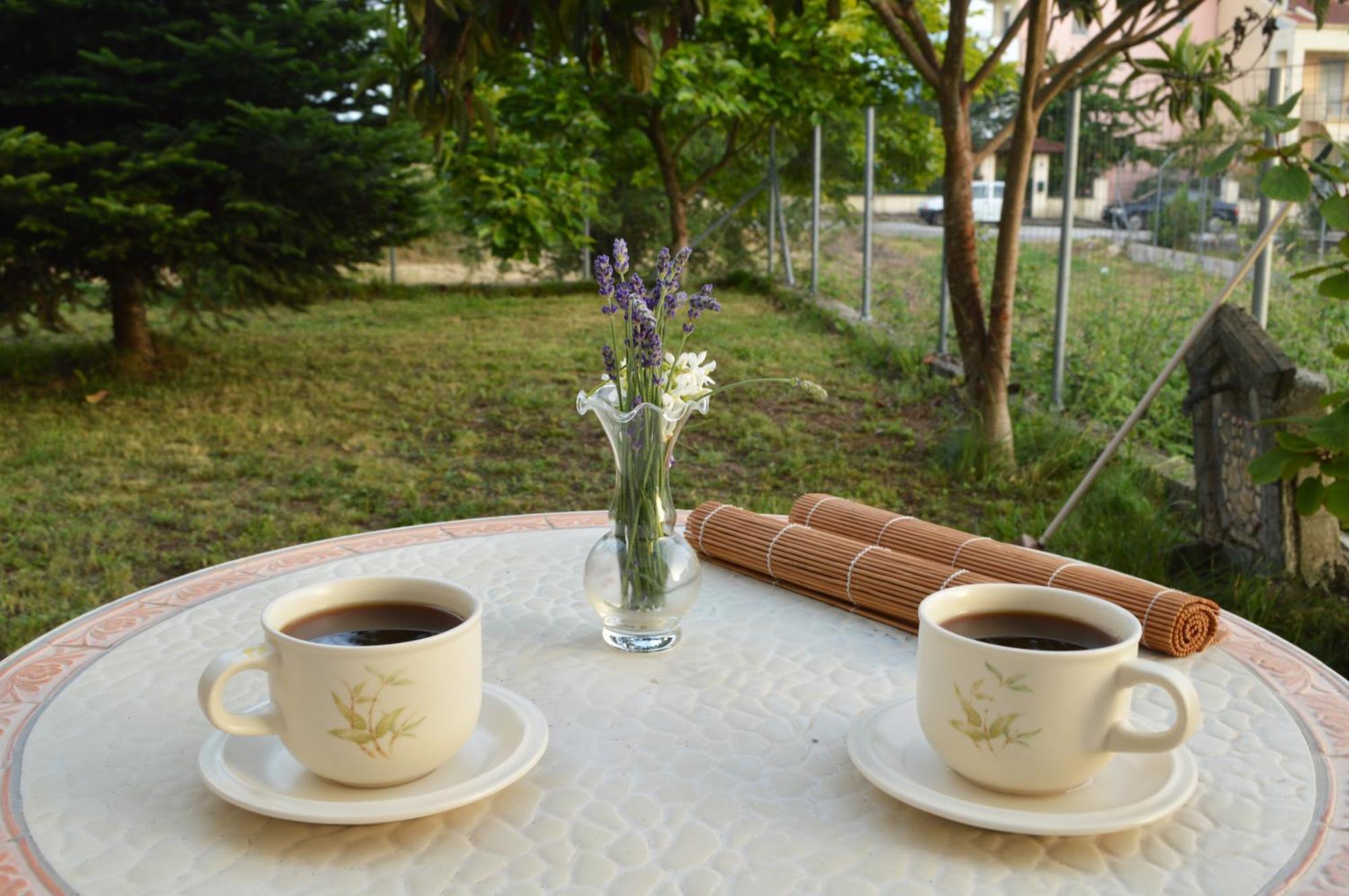 Homestay Sunny Retreat With A Garden Terrace Private Ioannina